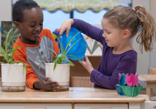 Exploring the Educational and Learning-Based Community Programs in Henderson, NV